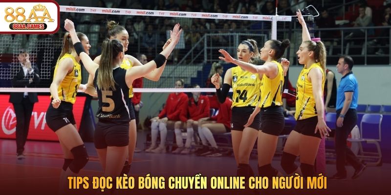 Tips đọc kèo bóng chuyền online cho người mới